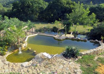 piscine naturelle avec étang par B3KM EcoDesign